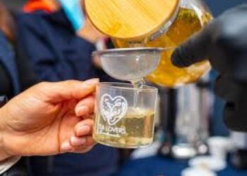 Festival del Té 2023, un banquete de aromas y sabores en Guatemala