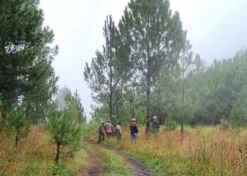 Articulan esfuerzos para la conservación de bosques de Totonicapán