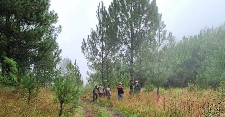 Articulan esfuerzos para la conservación de bosques de Totonicapán