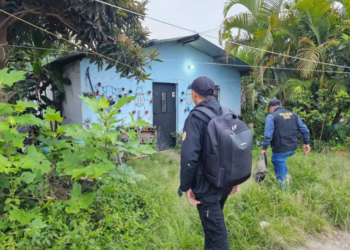 Agentes de Ciberdelitos han detenido a 43 personas. / Foto Mingob.