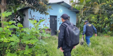 Agentes de Ciberdelitos han detenido a 43 personas. / Foto Mingob.