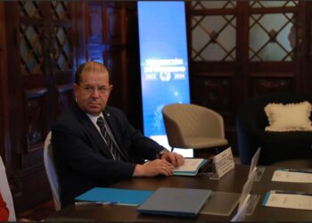 Diego Paz, representante de la OEA