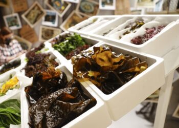 Estand de algas en un evento gastronomico en España. / Foto: EFE.