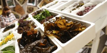 Estand de algas en un evento gastronomico en España. / Foto: EFE.