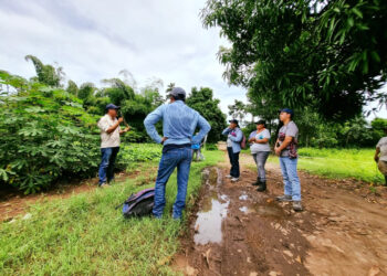 ICTA y FUNDAP aportando a la agricultura en Guatemala
