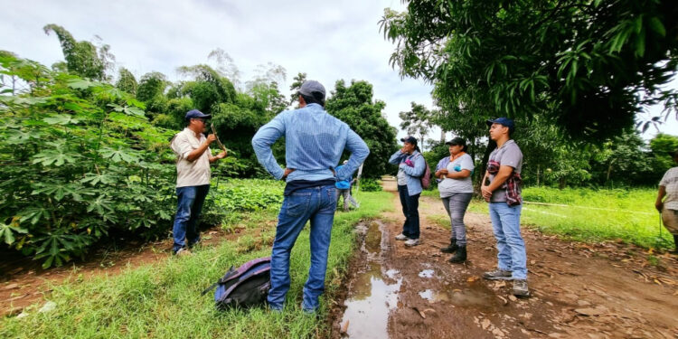 ICTA y FUNDAP aportando a la agricultura en Guatemala