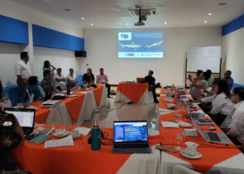 Tres países se unen para la conservación de tiburones en Centroamérica