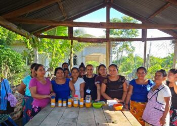 MAGA brinda capacitación sobre Fomento de Negocios Alternativos