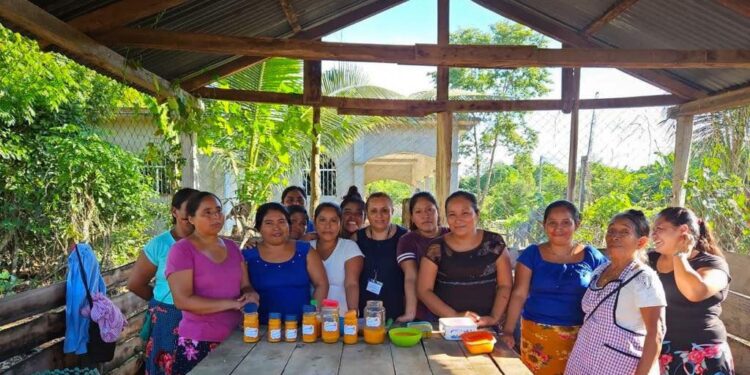 MAGA brinda capacitación sobre Fomento de Negocios Alternativos