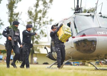 Decomisos al narcotráfico superan los Q1.9 millardos en lo que va del año. / Foto: Mingob.