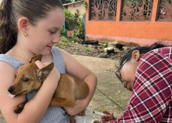 Familias pueden proteger a sus mascotas contra la rabia. / Foto: MSPAS.