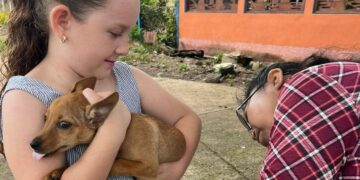 Familias pueden proteger a sus mascotas contra la rabia. / Foto: MSPAS.