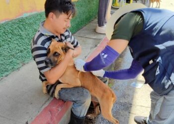 Vecinos de Villa Canales llevaron a sus perros y gatos para ser vacunados por el personal de salud. /Foto: MSPAS