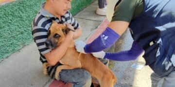 Vecinos de Villa Canales llevaron a sus perros y gatos para ser vacunados por el personal de salud. /Foto: MSPAS