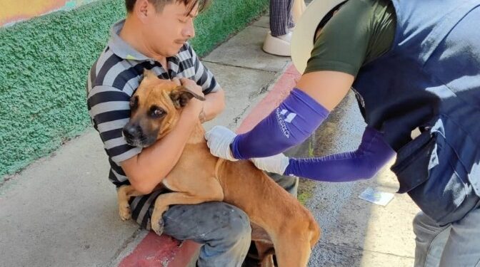 Vecinos de Villa Canales llevaron a sus perros y gatos para ser vacunados por el personal de salud. /Foto: MSPAS