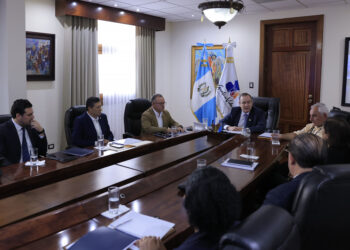 Reunión del presidente con representante de la OEA.