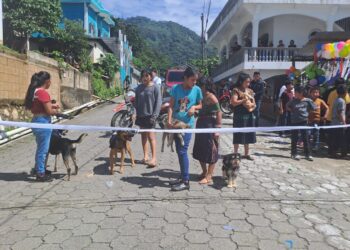 Vecinos llevan a vacunar a sus mascotas.