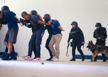 Coan, la fuerza especial que combate el crimen y el narcotráfico