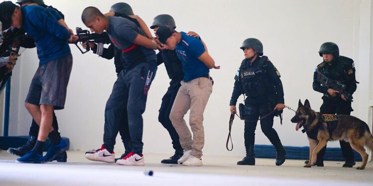 Coan, la fuerza especial que combate el crimen y el narcotráfico