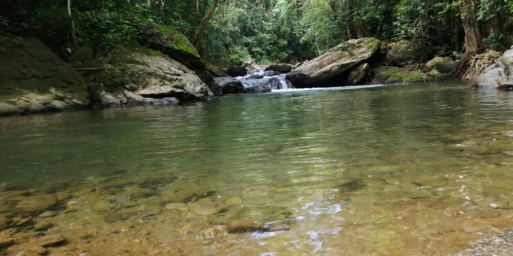 MARN detalló los requisitos para poder cursar el diplomado.