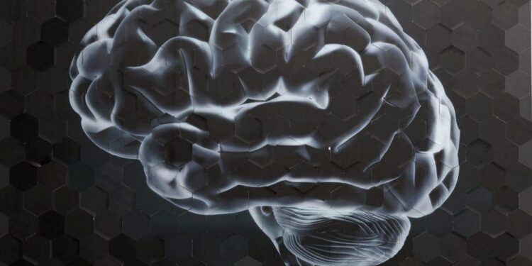 Herramienta con IA detecta patrones sobre gliomas malignos. / Foto: EFE.