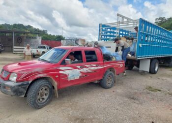 Mantienen jornadas de deschatarrización para el combate del dengue en Petén