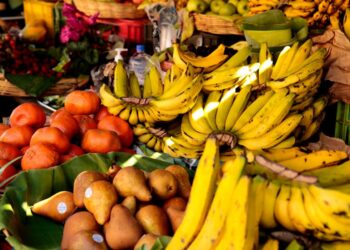 Día Mundial de la Alimentación. /Foto: DCA