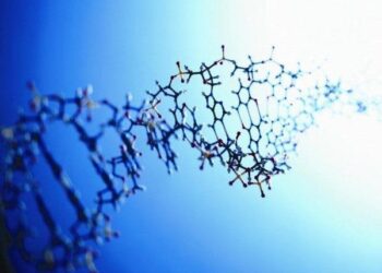 Hubo híbridos entre sapiens y neandertales por las migraciones. / Foto: EFE.