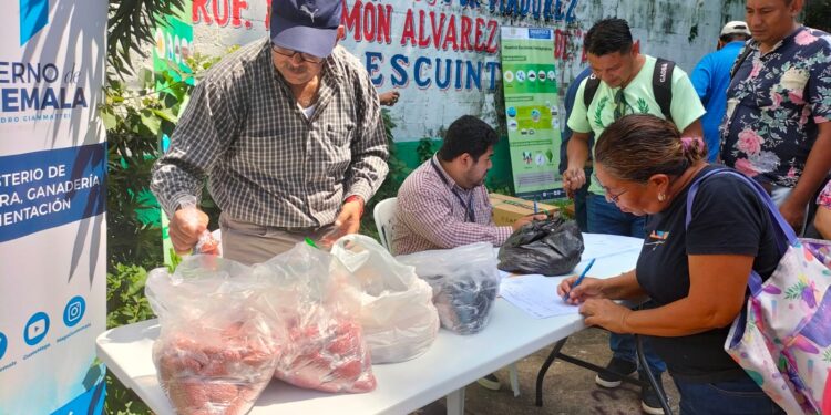 Fortalecen implementación de huertos pedagógicos. /Foto: SESAN