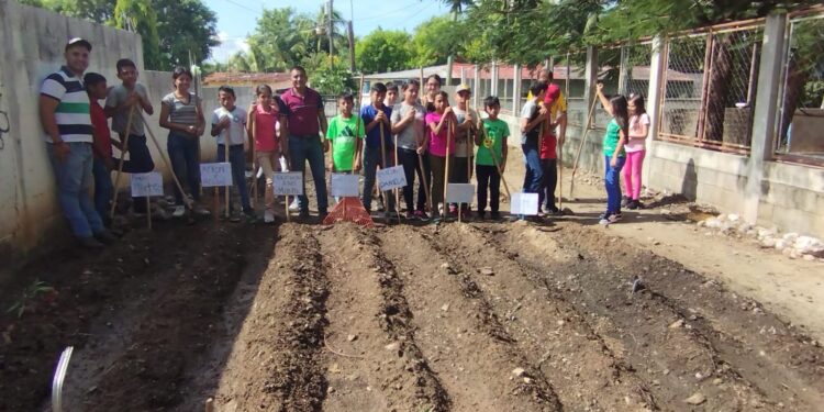 Instalación de huertos promueve la alimentación saludable. / Foto MAGA.
