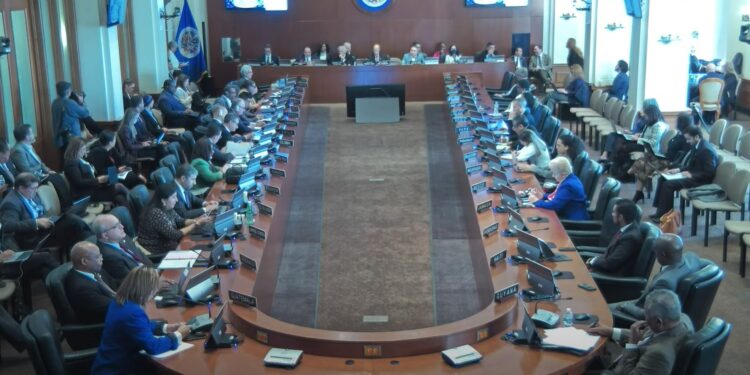 Sesión extraordinaria del Consejo Permanente de la OEA. /Foto: OEA