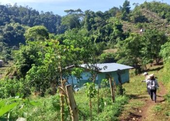 Promueven jornadas integrales de salud en Petén