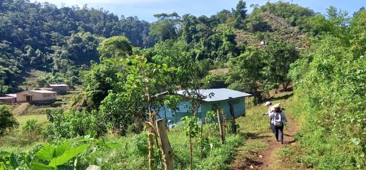 Promueven jornadas integrales de salud en Petén