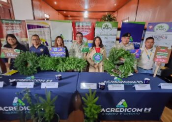 Se inician acciones para control y conservación del pinabete en San Marcos