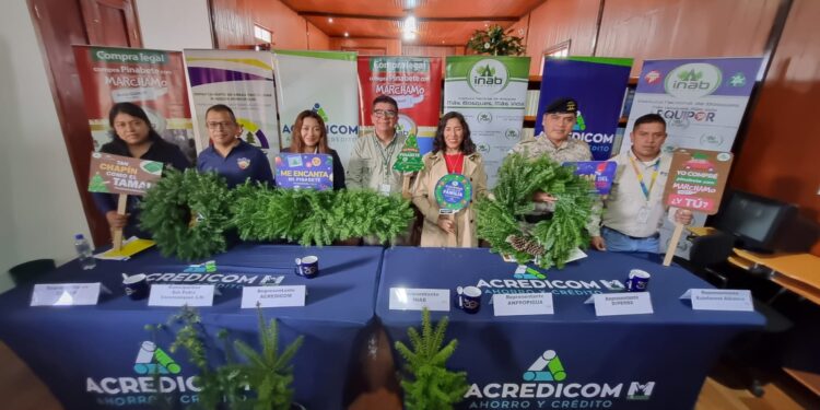Se inician acciones para control y conservación del pinabete en San Marcos