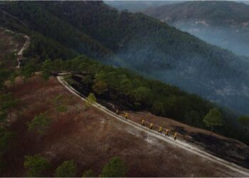 Presentan informe final por temporada de incendios forestales