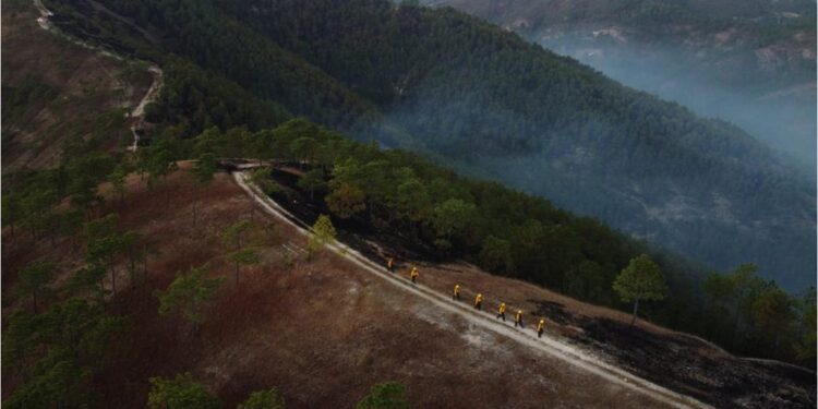 Presentan informe final por temporada de incendios forestales