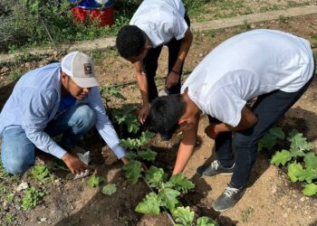 Fomentan la agricultura sostenible en San Juan, Zacapa