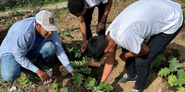 Fomentan la agricultura sostenible en San Juan, Zacapa