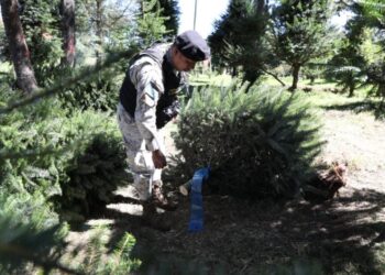 Agentes de la División de Protección a la Naturaleza (Diprona) de la Policía Nacional Civil (PNC) supervisando en el departamento de Chimaltenango.// Foto: Diprona.