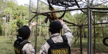 Diprona vela por la conservación de la flora y la fauna. /Foto: Mingob