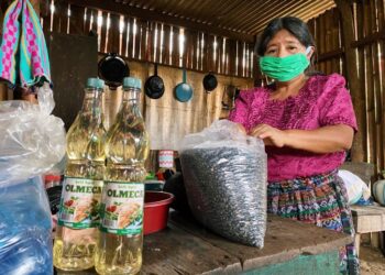 Presentan informe de resultados del programa temporal de apoyo alimentario