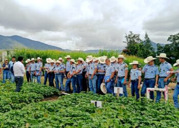 Estudiantes se sumergen en el campo agronómico. / Foto: MAGA.