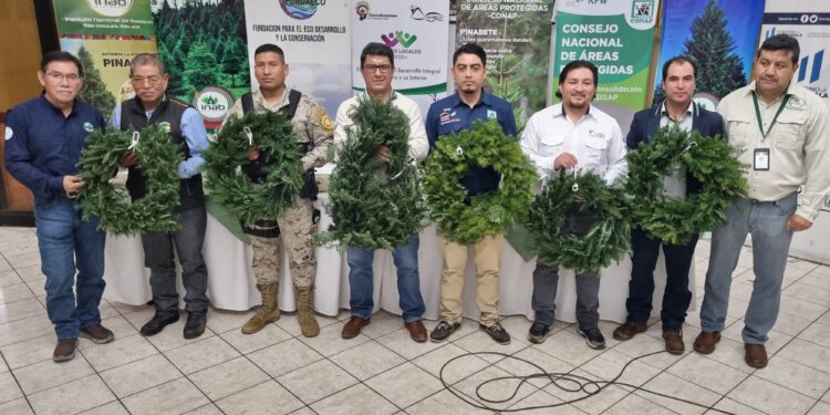 Impulsan campaña de conservación de pinabete en Huehuetenango