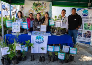 Promueven huertos medicinales y nutritivos en Alta Verapaz