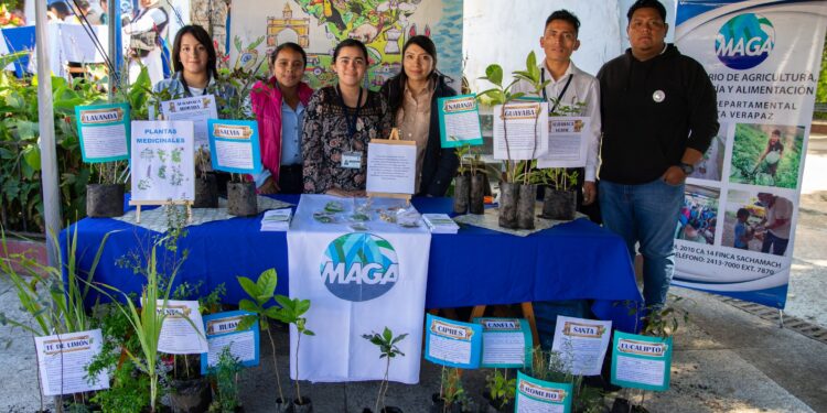 Promueven huertos medicinales y nutritivos en Alta Verapaz