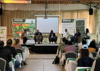 Alta Verapaz contribuye a la protección del medio ambiente