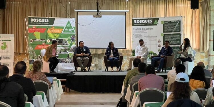 Alta Verapaz contribuye a la protección del medio ambiente