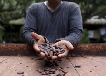Festival del Chocolate se lleva a cabo en México. / Foto: DCA.