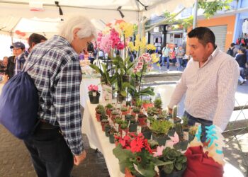 Por primera vez, más de 32 mil mipymes pasarán a la formalidad. /Foto: DCA.